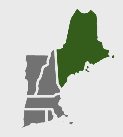 me-map-service-area artificial turf
