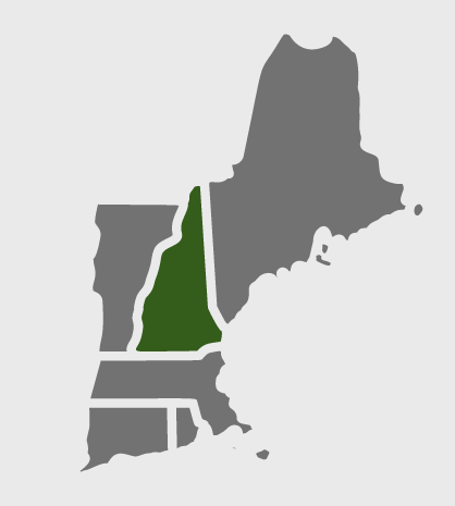 nh-map-service-area artificial turf