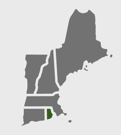 ri-map-service-area artificial turf