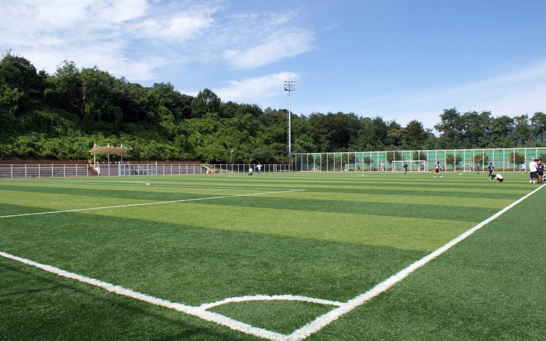 Let Your Local Turf Team Be Your Home Team