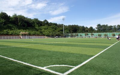 Let Your Local Turf Team Be Your Home Team