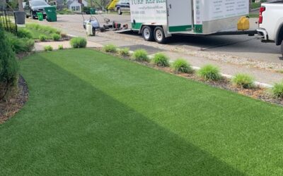 What a Turf Cleaning Might Look Like