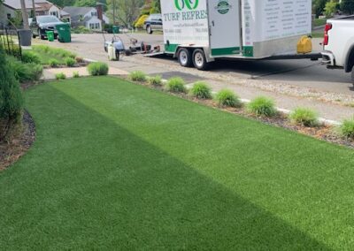 Turf Clean
