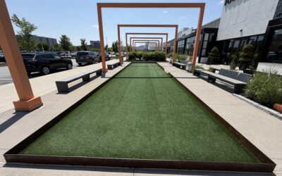 Why Summer Is the Most Important Time to Clean Your Artificial Turf