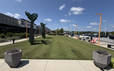 Why Regular Artificial Turf Cleaning Matters | Turf Refresh