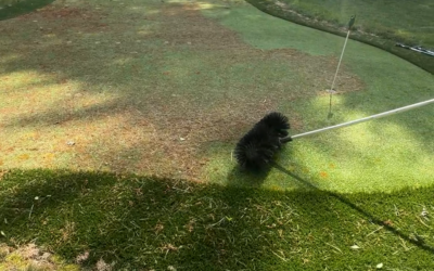 Why Artificial Turf Putting Greens Need Regular Cleaning