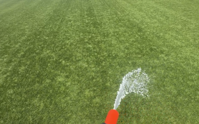 Why Your Artificial Turf Can Start to Smell—and How Professional Cleaning Helps