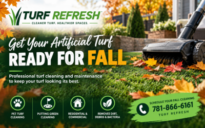 Get Your Artificial Turf Ready for Fall with Turf Refresh